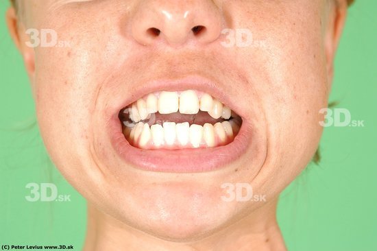 Mouth Whole Body Phonemes Woman Average Studio photo references