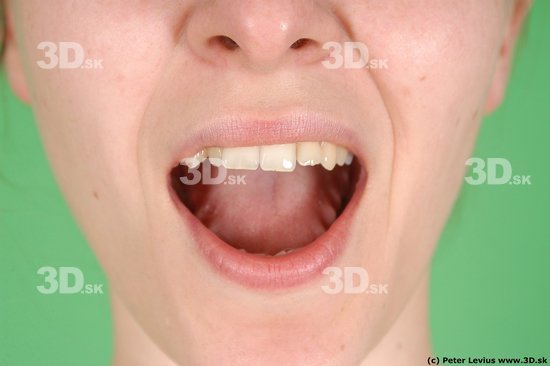 Mouth Phonemes Woman White Average