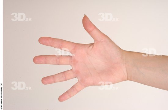 Hand Woman White Nude Muscular