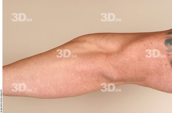 Forearm Man White Nude Muscular