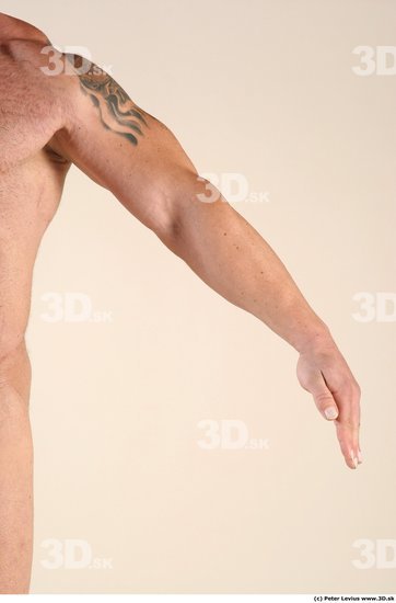 Arm Man Animation references White Tattoo Nude Muscular