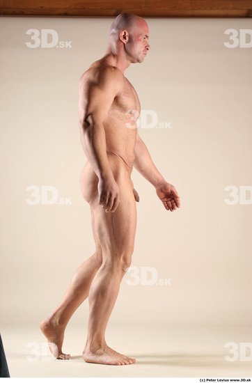 Whole Body Man Animation references White Nude Muscular