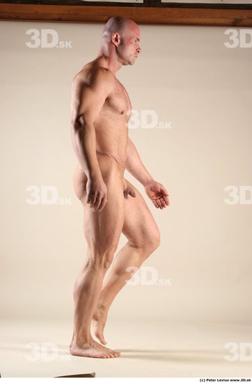 Whole Body Man Animation references White Nude Muscular