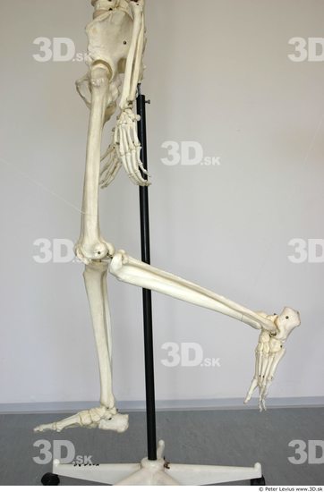 Leg Skeleton Animation references