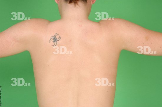 Back Woman White Tattoo Nude Average