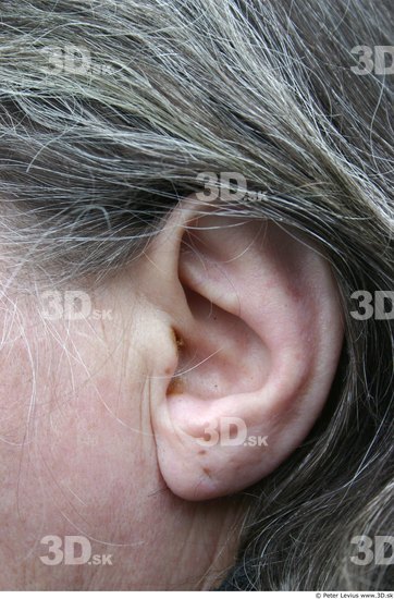 Ear Woman White Average