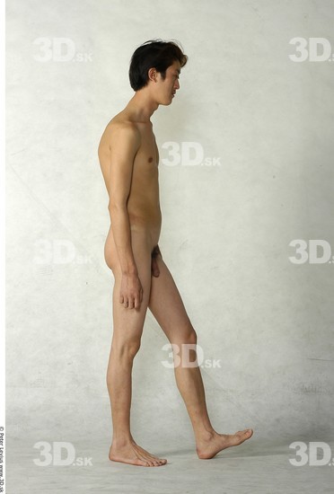 Whole Body Man Animation references Asian Nude Slim Studio photo references