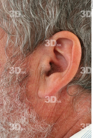 Ear Man White Overweight