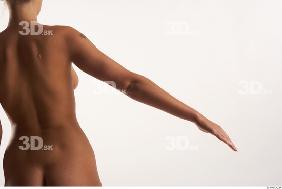 Arm Woman Animation references White Nude Slim