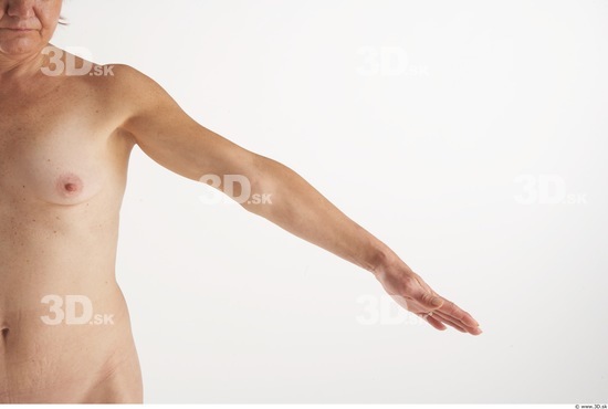 Arm Woman Animation references White Nude Slim