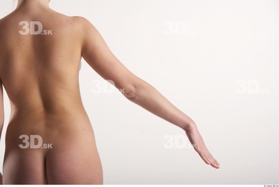 Arm Woman Animation references White Nude Slim