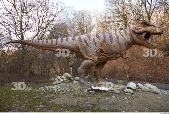 Whole Body Dinosaurus-Thyranosaurus