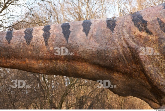 Tail Dinosaurus-Thyranosaurus