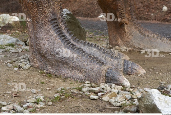 Foot Dinosaurus-Thyranosaurus