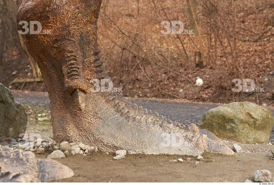 Leg Dinosaurus-Thyranosaurus