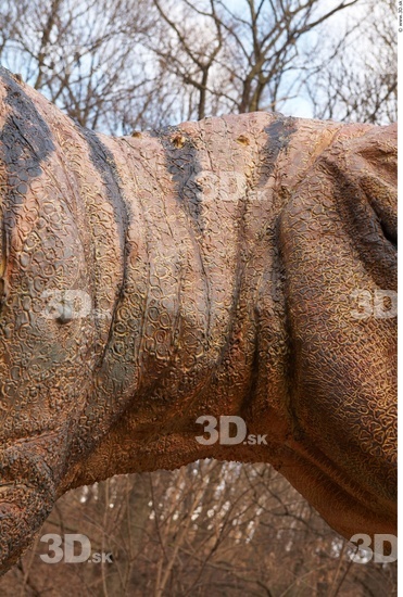 Neck Dinosaurus-Thyranosaurus