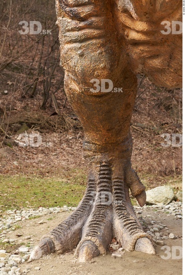 Leg Dinosaurus-Thyranosaurus