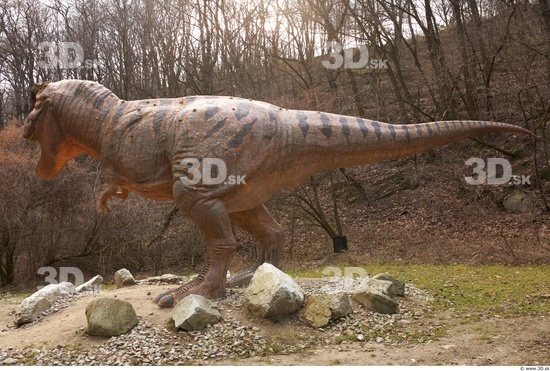 Whole Body Dinosaurus-Thyranosaurus