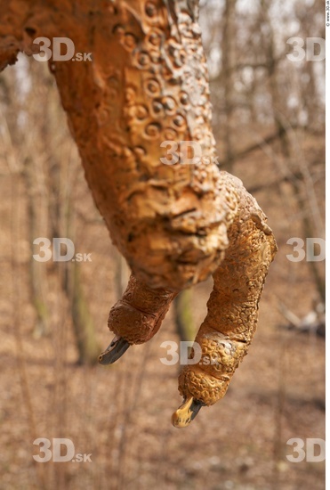 Foot Dinosaurus-Thyranosaurus