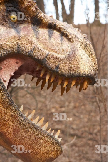 Teeth Dinosaurus-Thyranosaurus