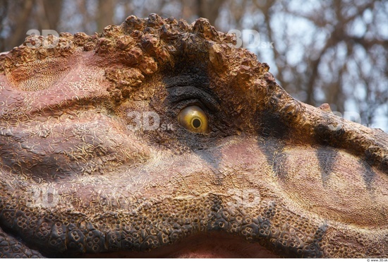 Eye Dinosaurus-Thyranosaurus