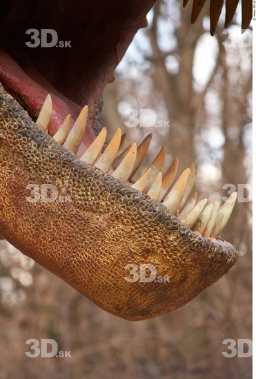 Teeth Dinosaurus-Thyranosaurus