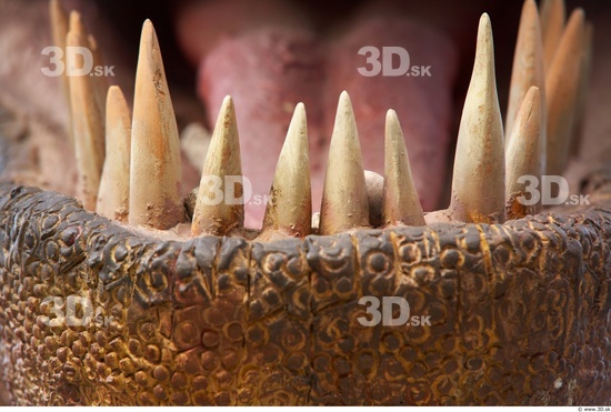 Teeth Dinosaurus-Thyranosaurus