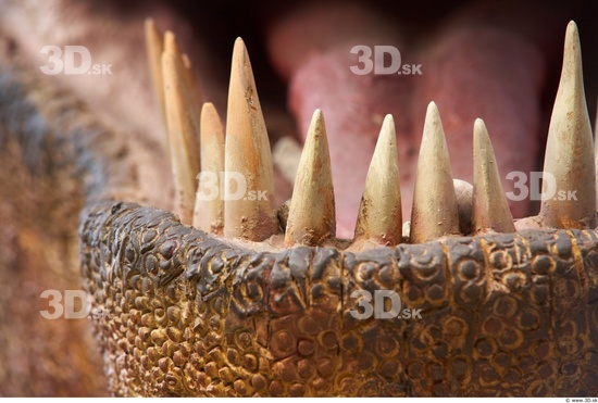 Teeth Dinosaurus-Thyranosaurus