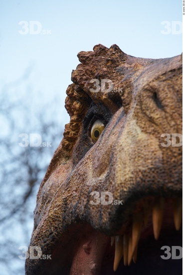 Face Dinosaurus-Thyranosaurus