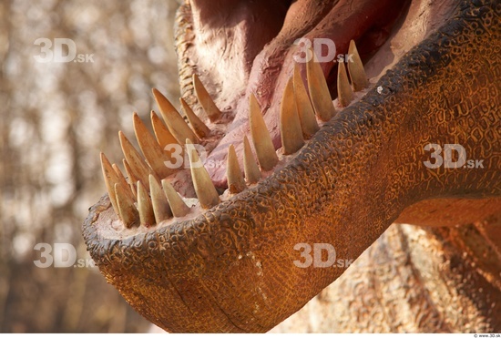 Teeth Dinosaurus-Thyranosaurus