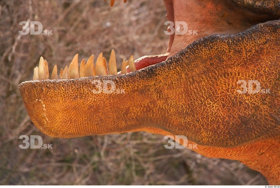 Teeth Dinosaurus-Thyranosaurus