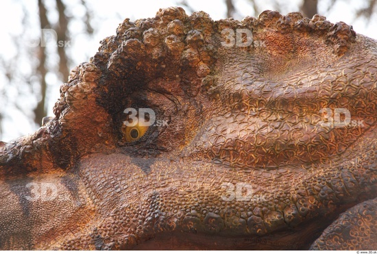 Eye Dinosaurus-Thyranosaurus