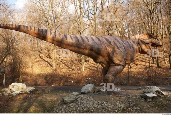 Whole Body Dinosaurus-Thyranosaurus