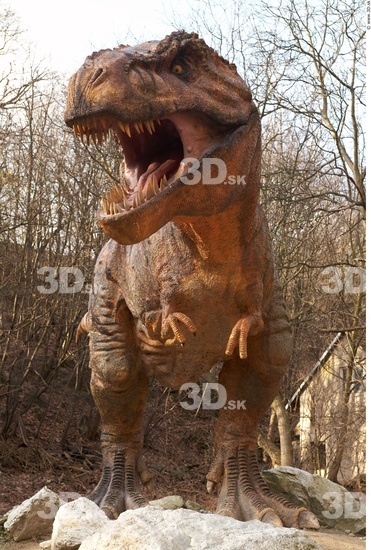 Whole Body Dinosaurus-Thyranosaurus