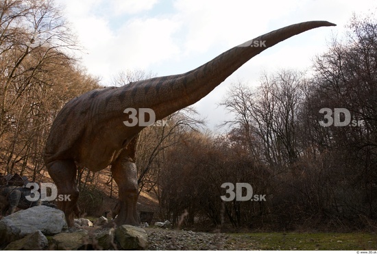 Whole Body Dinosaurus-Thyranosaurus