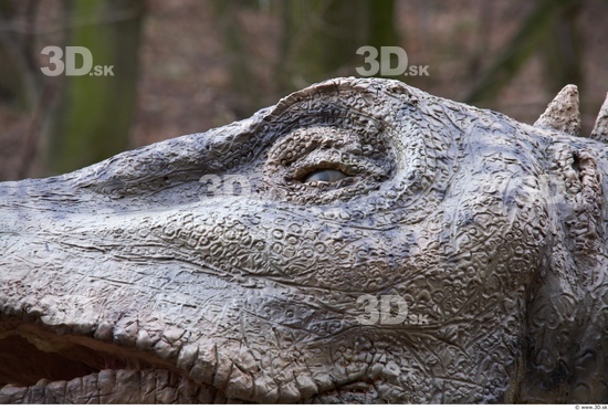 Eye Dinosaurus-Diplodocus