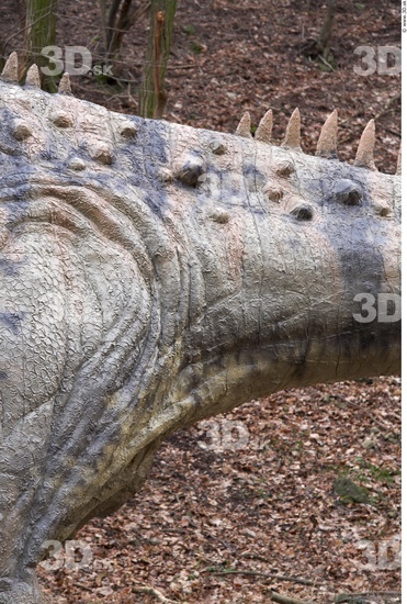 Tail Dinosaurus-Diplodocus