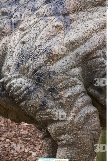 Thigh Dinosaurus-Diplodocus