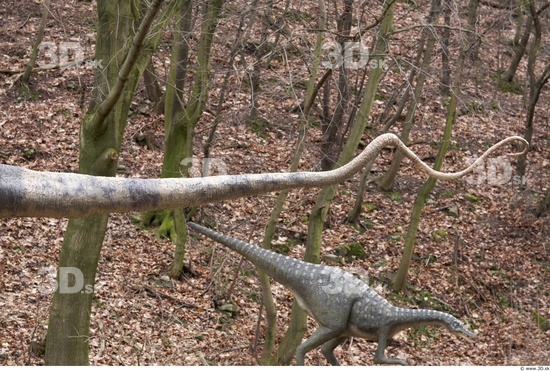 Tail Dinosaurus-Diplodocus
