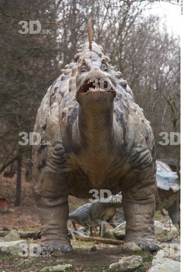 Whole Body Dinosaurus-Diplodocus