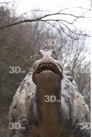 Head Dinosaurus-Diplodocus