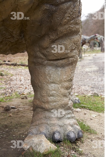 Leg Dinosaurus-Diplodocus