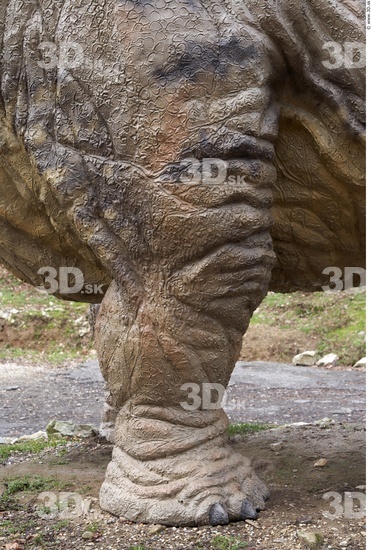 Leg Dinosaurus-Diplodocus