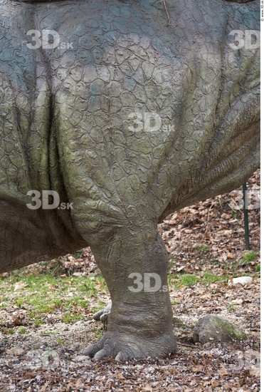 Leg Whole Body Dinosaurus-Stegosaurus Animal photo references