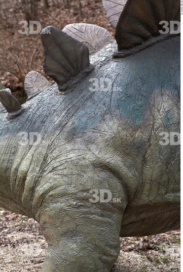 Thigh Whole Body Dinosaurus-Stegosaurus Animal photo references