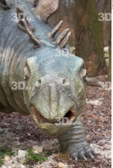 Whole Body Head Dinosaurus-Stegosaurus Animal photo references