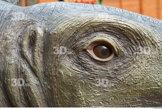 Eye Whole Body Dinosaurus-Stegosaurus Animal photo references