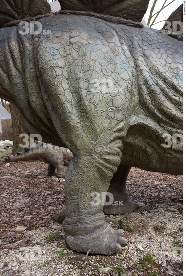 Leg Whole Body Dinosaurus-Stegosaurus Animal photo references