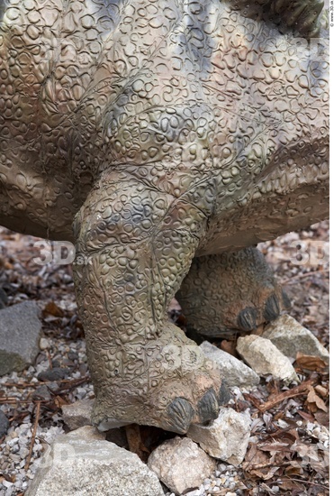 Leg Whole Body Dinosaurus-Stegosaurus Animal photo references