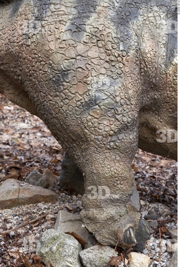 Leg Whole Body Dinosaurus-Stegosaurus Animal photo references